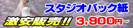 スタジオバック紙 激安販売!!