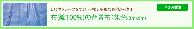 �z�̔w�i�z�F���F